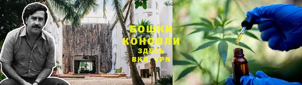 PSILOCYBIN Покров