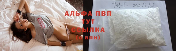 PSILOCYBIN Покров
