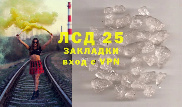 PSILOCYBIN Покров