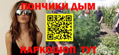 прущие крисы Донской