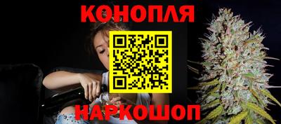 индика Донецк