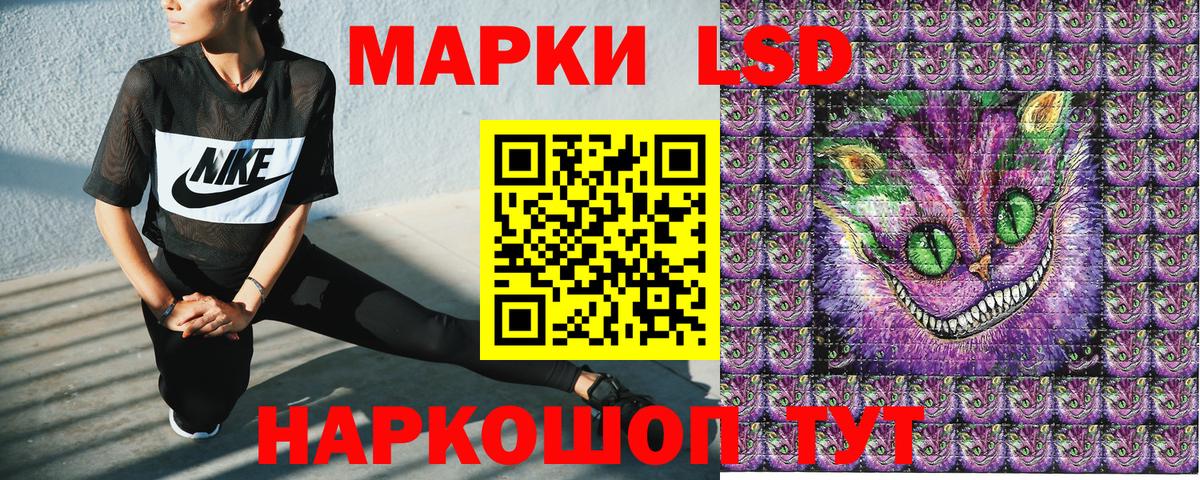 Псилоцибиновые грибы Киров