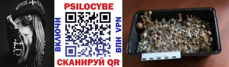Галлюциногенные грибы MAGIC MUSHROOMS  продажа наркотиков  Киров 