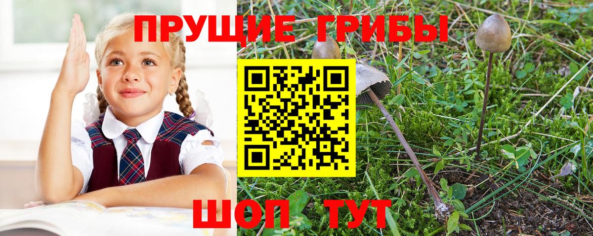 Галлюциногенные грибы Magic Shrooms  Вход с VPN  Киров 