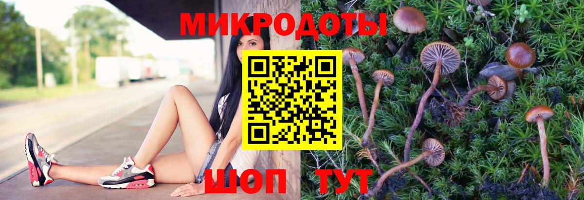Псилоцибиновые грибы Magic Shrooms Киров